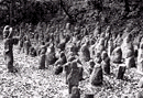 明治40年代の石像群