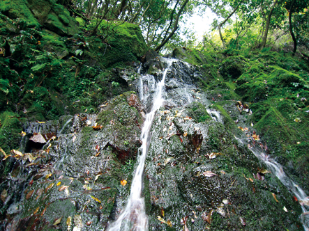 遠賀川源流