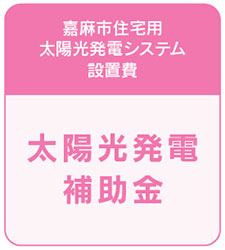 太陽光発電システム設置費